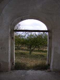 urbanII.jpg (8650 bytes)