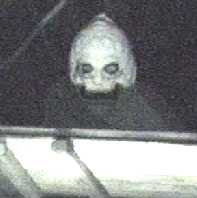 video8 (mv)